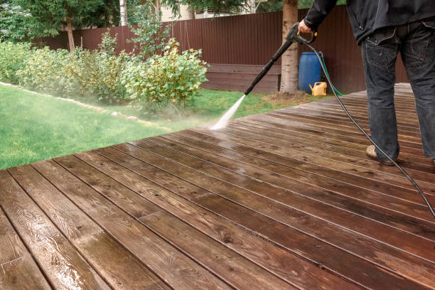 Best Fence Cleaning  in Steele Creek, AK